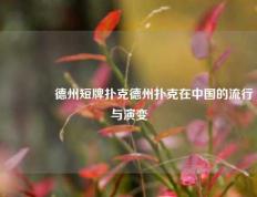 🥇德州短牌扑克德州扑克在中国的流行与演变