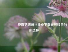🎖️爱奇艺德州扑扑克下载在线娱乐的新选择