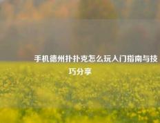 🥇手机德州扑扑克怎么玩入门指南与技巧分享