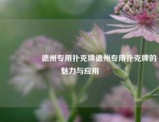 🎖️德州专用扑克牌德州专用扑克牌的魅力与应用