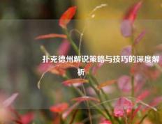 🎖️扑克德州解说策略与技巧的深度解析