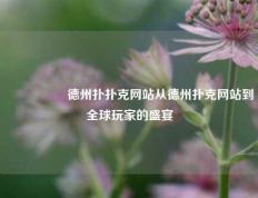 🎖️德州扑扑克网站从德州扑克网站到全球玩家的盛宴