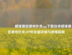 👈威锋德信德州扑克app下载安卓威锋德信德州扑克APP的全面评测与使用指南