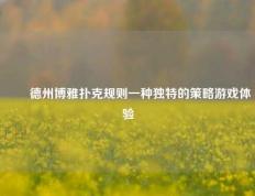 ✌️德州博雅扑克规则一种独特的策略游戏体验