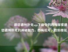 👈德信德州扑克app下载中的四梅探索德信德州扑克的神秘魅力，四梅花开，胜似桃花