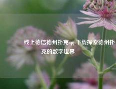 👍线上德信德州扑克app下载探索德州扑克的数字世界