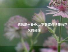 🎖️德信德州扑克app下载案件法律与正义的碰撞