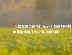 👉ios博雅德信德州扑克app下载透视iOS博雅德信德州扑克APP的深度透视