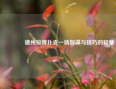 🌈德州短牌扑克一场智谋与技巧的较量