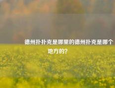 🌈德州扑扑克是哪里的德州扑克是哪个地方的？