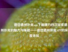 👈德信德州扑克app下载牌力档次探索德州扑克的魅力与策略——德信德州扑克APP的深度体验