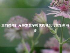全网德州扑克探索数字时代的社交与娱乐新潮流