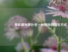 🏆单机德州牌扑克一种独特的娱乐方式