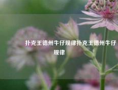 👍扑克王德州牛仔规律扑克王德州牛仔规律
