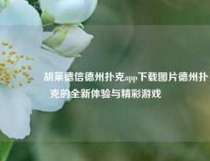 🌈胡莱德信德州扑克app下载图片德州扑克的全新体验与精彩游戏
