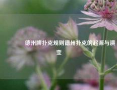 👉德州牌扑克规则德州扑克的起源与演变