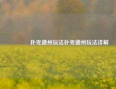 👍扑克德州玩法扑克德州玩法详解