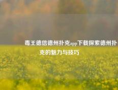 🥈毒王德信德州扑克app下载探索德州扑克的魅力与技巧