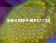 德州扑克国语视频教程新手入门指南
