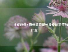 👈扑克总督2 德州探索德州扑克的深度与广度