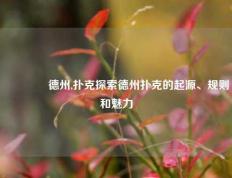 🥈德州,扑克探索德州扑克的起源、规则和魅力