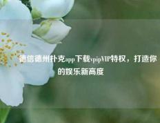 ✌️德信德州扑克app下载vpipVIP特权，打造你的娱乐新高度