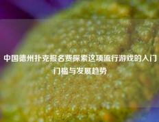中国德州扑克报名费探索这项流行游戏的入门门槛与发展趋势