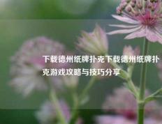 🎖️下载德州纸牌扑克下载德州纸牌扑克游戏攻略与技巧分享