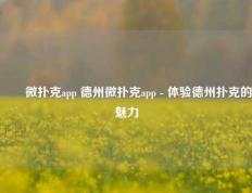 ✌️微扑克app 德州微扑克app - 体验德州扑克的魅力