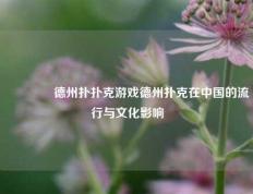 🥈德州扑扑克游戏德州扑克在中国的流行与文化影响