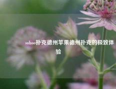 🥇sohoo扑克德州苹果德州扑克的极致体验