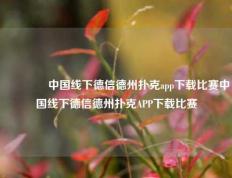 🥉中国线下德信德州扑克app下载比赛中国线下德信德州扑克APP下载比赛