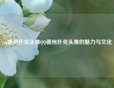 qq德州扑克头像QQ德州扑克头像的魅力与文化