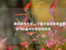 👍德信德州扑克app下载小盲位探索深度学习在德州扑克中的应用