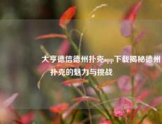 🎖️大亨德信德州扑克app下载揭秘德州扑克的魅力与挑战
