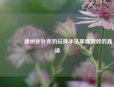 👉德州扑扑克的玩牌手法掌握游戏的真谛