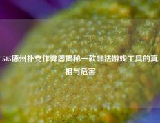 515德州扑克作弊器揭秘一款非法游戏工具的真相与危害