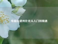 电脑玩德州扑克从入门到精通