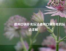 🏆德州口袋扑克玩法德州口袋扑克的玩法详解