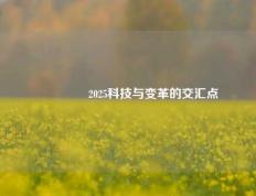 🥉2025科技与变革的交汇点