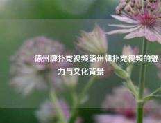 🌈德州牌扑克视频德州牌扑克视频的魅力与文化背景
