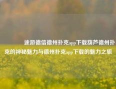 👉途游德信德州扑克app下载葫芦德州扑克的神秘魅力与德州扑克app下载的魅力之旅