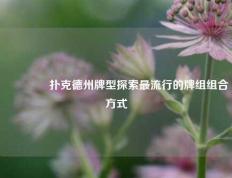 🥈扑克德州牌型探索最流行的牌组组合方式