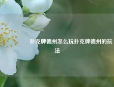 🎖️扑克牌德州怎么玩扑克牌德州的玩法