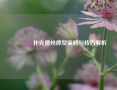 👍扑克德州牌型策略与技巧解析