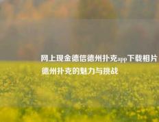 🎖️网上现金德信德州扑克app下载相片德州扑克的魅力与挑战