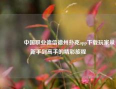 🥇中国职业德信德州扑克app下载玩家从新手到高手的精彩旅程
