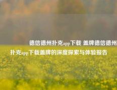 🎖️德信德州扑克app下载 盖牌德信德州扑克app下载盖牌的深度探索与体验报告