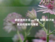 🎖️德信德州扑克app下载 规则 赖子探索游戏规则与策略