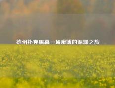 德州扑克黑幕一场赌博的深渊之旅
